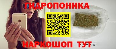 соль ск Лесосибирск