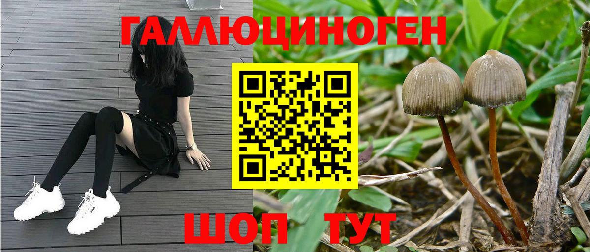 Псилоцибиновые грибы GOLDEN TEACHER  Галлюциногенные грибы MAGIC MUSHROOMS  Вход с VPN  Дзержинский 